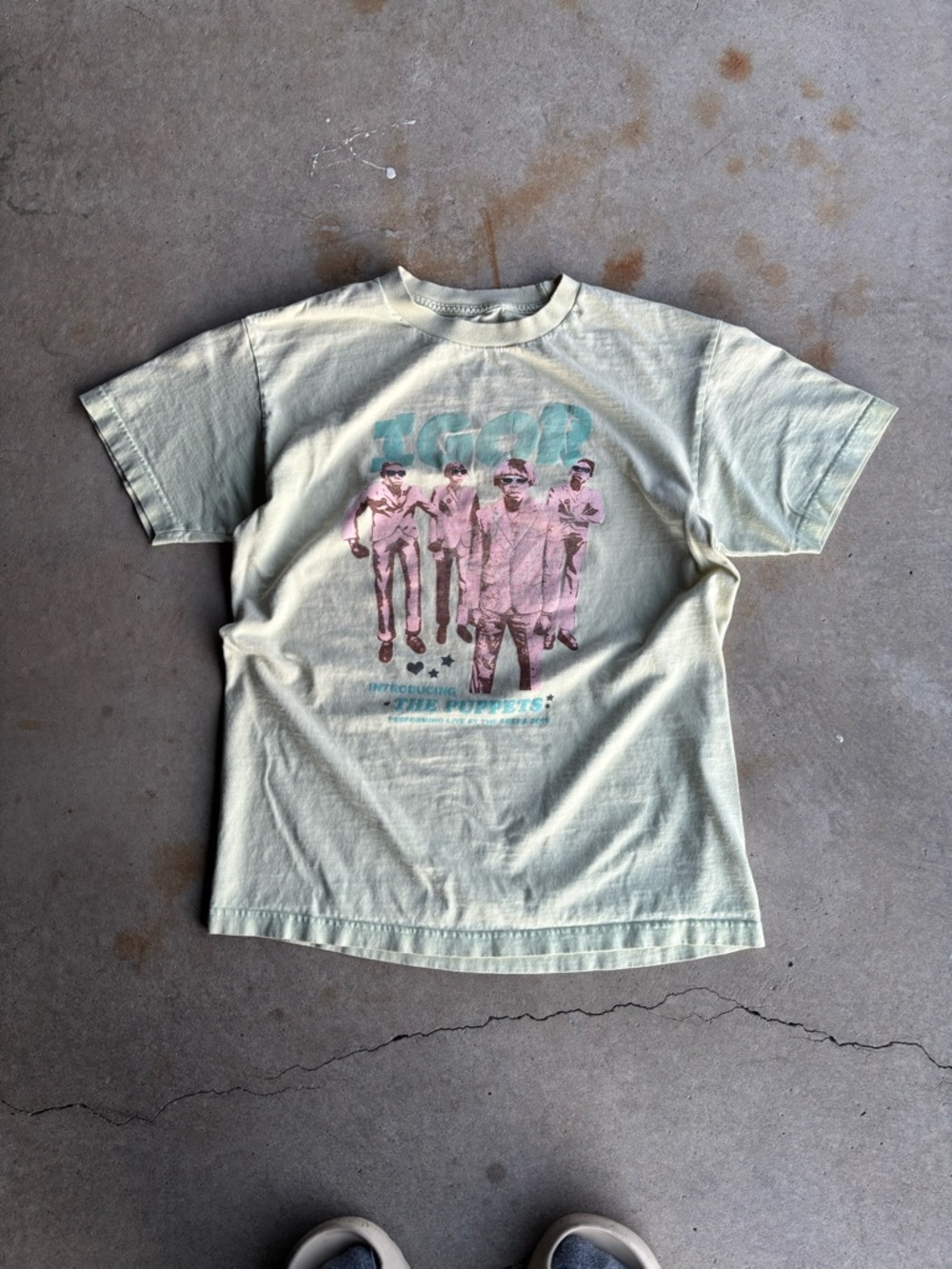 Igor Tyler The Creator Men's Graphic T-Shirt in Pale Green with Front Print